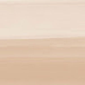 Meet your Posher, Aneri